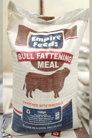 Bull Fattening