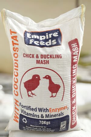 Chick Mash