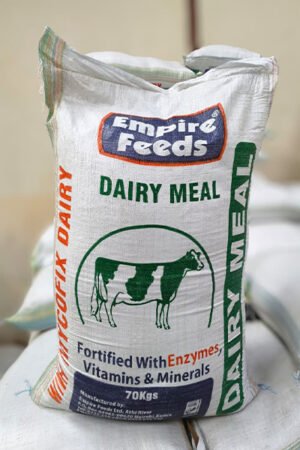 Dairy Meal