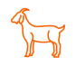 goat_0 goat_0