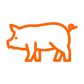 pig_512x512 pig_512x512
